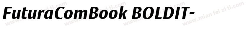 FuturaComBook BOLDIT字体转换
